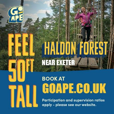 Go Ape Haldon Forest
