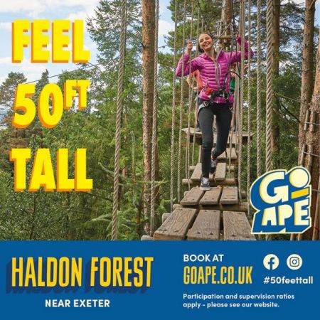 Things to do in Tiverton visit Go Ape Haldon Forest