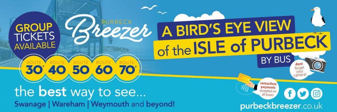 Things to do in Swanage & Wareham visit Go South Coast