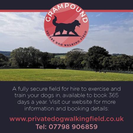 Grampound Secure Dog Walking Field