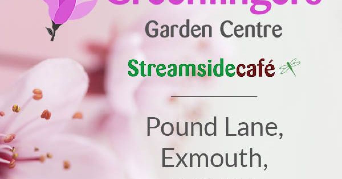 Things to do in Exmouth & Budleigh Salterton Visit Green Fingers