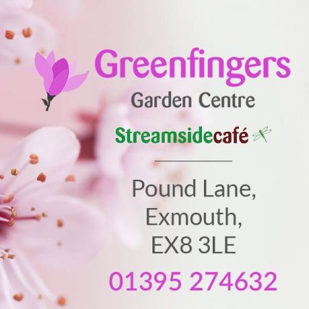 Things to do in Exmouth & Budleigh Salterton visit Green Fingers Garden Centre