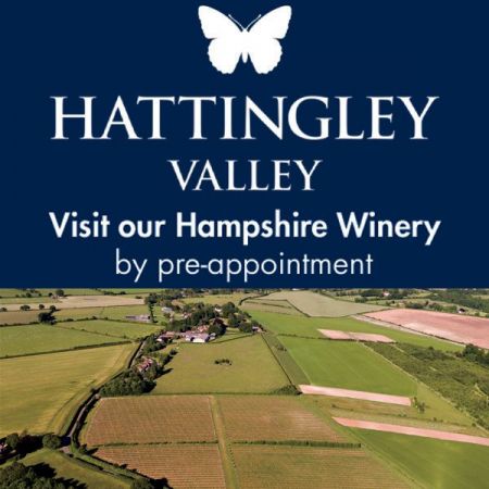 Things to do in Winchester visit Hattingley Valley Wines