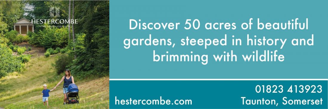 Things to do in Tiverton visit Hestercombe