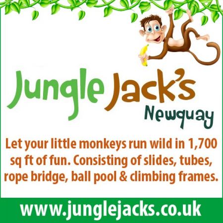 Things to do in Redruth & Camborne visit Jungle Jacks
