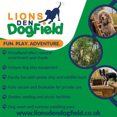 Things to do in Beverley & Market Weighton visit Lions Den Dog Field