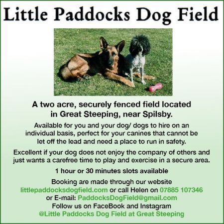 Things to do in Skegness visit Little Paddocks Dog Field