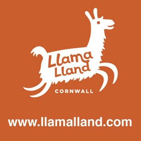 Things to do in Newquay visit Llama Lland
