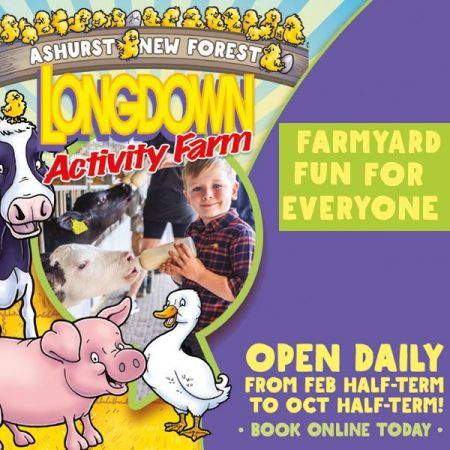 Things to do in Portsmouth visit Longdown Activity Farm
