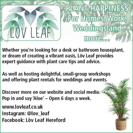 Things to do in Hereford visit Lov Leaf