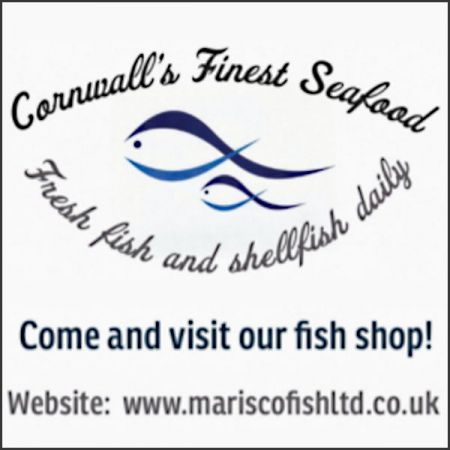 Things to do in Penzance visit Marisco Fish