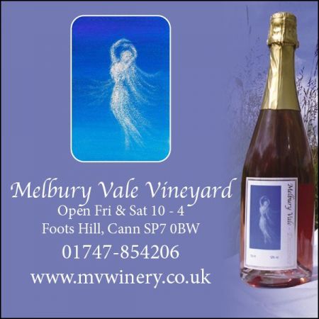 Things to do in Shaftesbury & Gillingham visit Melbury Vale Vineyard