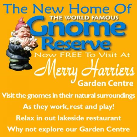 Things to do in Great Torrington visit Merry Harriers Garden Centre