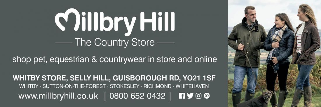 Things to do in Whitby visit Milllbry Hill Whitby Store