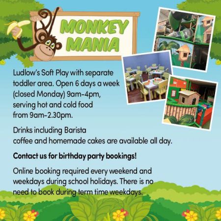 Things to do in Shrewsbury visit Monkey Mania