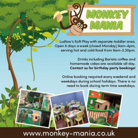 Things to do in Ludlow visit Monkey Mania
