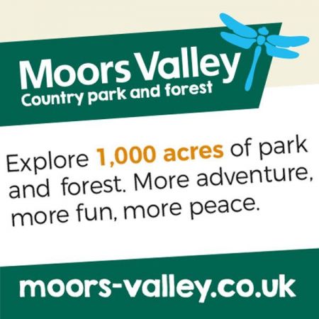 Things to do in Christchurch visit Moors Valley Country Park