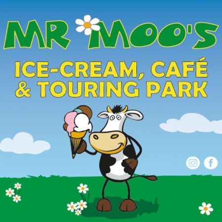 Things to do in Hornsea and Withernsea visit Mr Moos