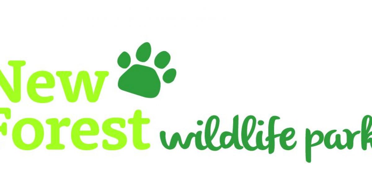 Things to do in New Forest - Visit New Forest Wildlife Park