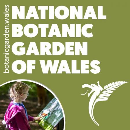 Things to do in Swansea visit National Botanic Garden of Wales