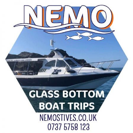 Things to do in St Ives visit Nemo Glass Bottom Boat Trips