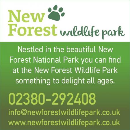 Things to do in New Forest visit New Forest Wildlife Park