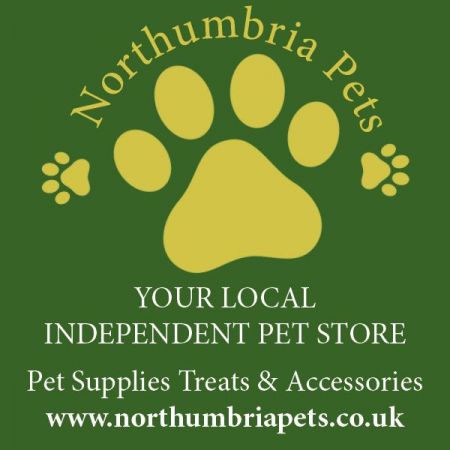Things to do in Alnwick visit Northumbria Pets
