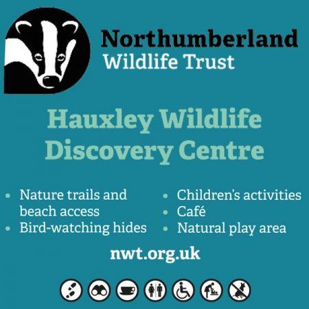 Things to do in Alnwick visit Northumberland Wildlife Trust