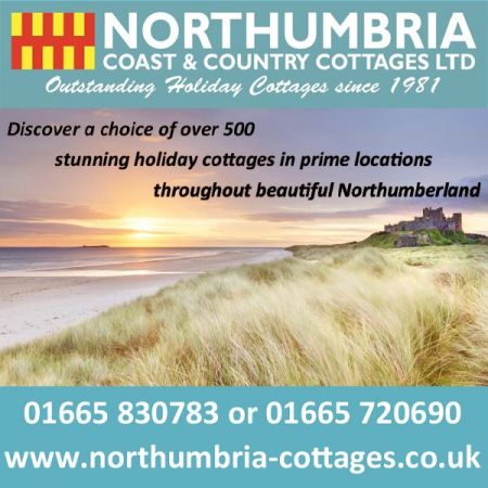 Things to do in Alnwick visit Northumbria Coast and Country Cottages