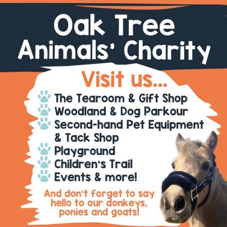 Oak Tree Animals' Charity
