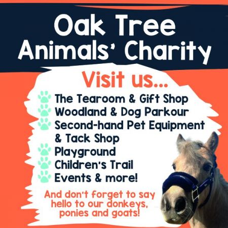 Things to do in Carlisle visit Oak Tree Animals' Charity