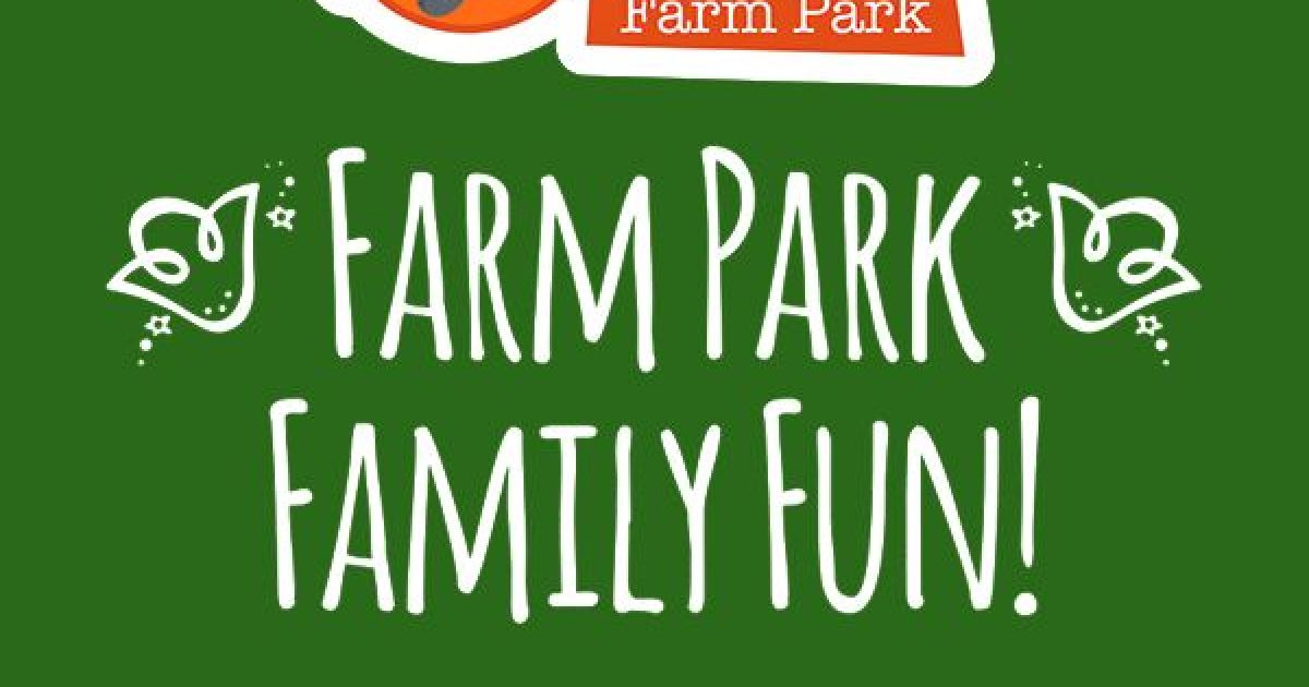 Things to do in Marlow & Henley Visit Odds Farm Park
