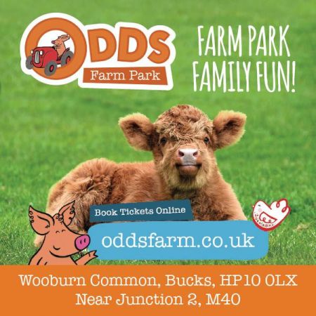 Odds Farm Park