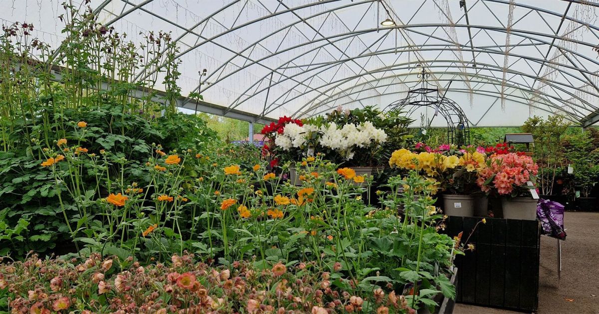 Things to do in Hunstanton Visit Fakenham Garden Centre