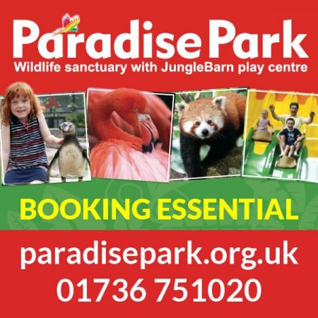 Things to do in St Ives visit Paradise Park