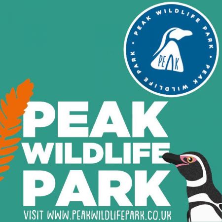Things to do in Buxton & Bakewell visit Peak Wildlife Park