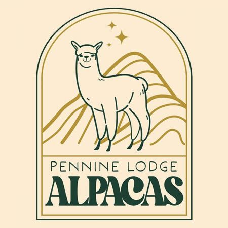Things to do in Durham visit Pennine Lodge Alpacas