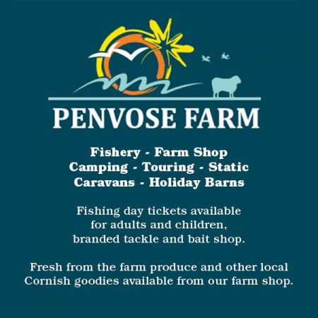 Things to do in Newquay visit Penvose Farm