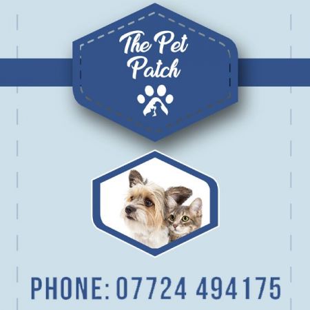 Things to do in Chester visit The Pet Patch @ Hopley