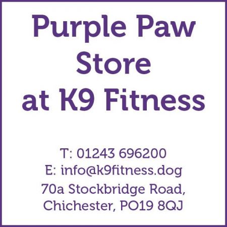 Things to do in Chichester visit Purple Paw Store