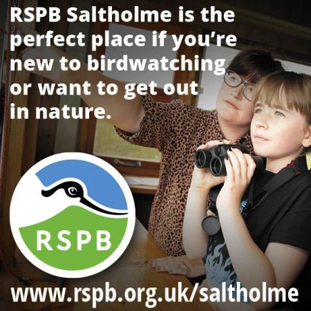 Things to do in Redcar, Marske & Saltburn-by-the-Sea visit RSPB Salthome