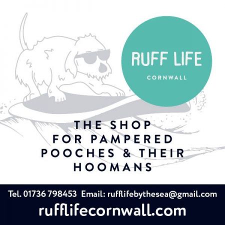 Things to do in St Ives visit Ruff Life Cornwall