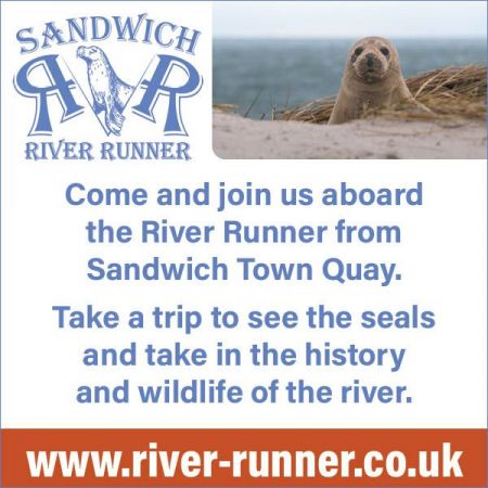 Things to do in Dover & Deal visit Sandwich River Runner