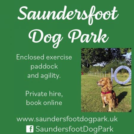 Things to do in Tenby visit Saundersfoot Dog Park
