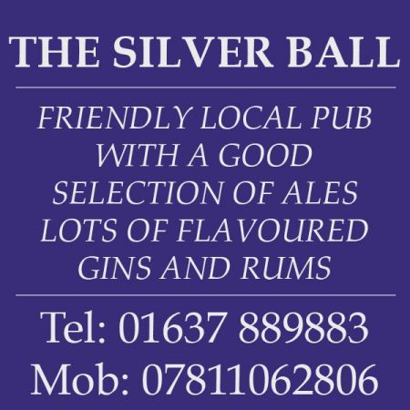 Things to do in Newquay visit The Silver Ball