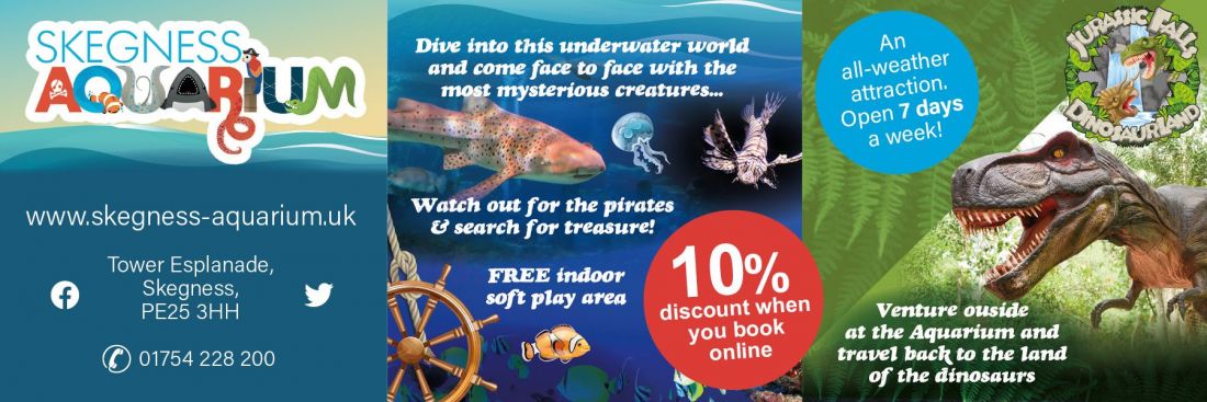Things to do in Mablethorpe visit Skegness Aquarium