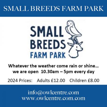 Things to do in Hereford visit Small Breeds Farm Park