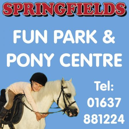 Things to do in Newquay visit Springfields