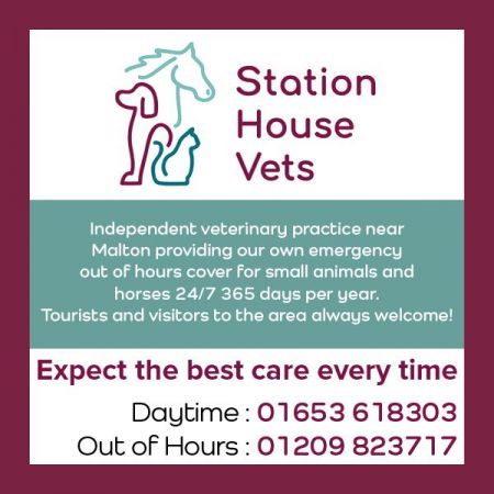 Things to do in Malton & Pickering visit Station House Vets