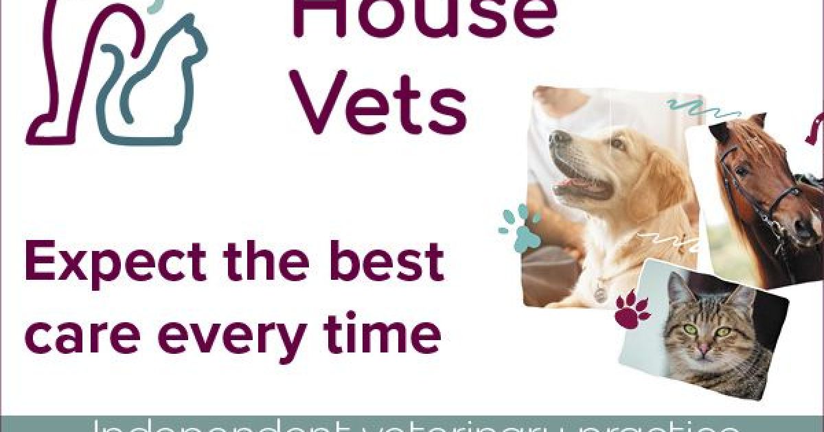 Things to do in Malton & Pickering Visit Station House Vets